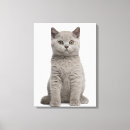 Pesquisar por animal do bebê impressão de canvas Olhando a câmera