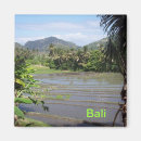 Pesquisar por bali imas Arroz