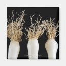 Pesquisar por raiz quadrada imas Comida