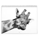 Pesquisar por elefante calendarios Zoológico