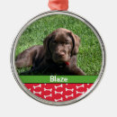 Pesquisar por animal novo ornamentos Dogs