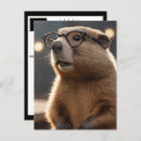 Pesquisar por gerbil cartoes postais Animais de estimação