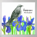 Pesquisar por bird pósteres pôsteres Qualquer pessoa