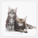 Pesquisar por casulo adesivos Animais