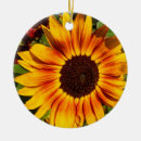 Pesquisar por sol brilhante ornamentos Amarelo