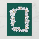 Pesquisar por magnólia branca cartoes postais For her