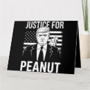 Pesquisar por eleição cartoes Eua