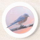 Pesquisar por oriental porta copos Natureza