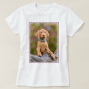 Pesquisar por húngaros camisetas For her
