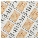 Pesquisar por renascimento artesanato material Leonardo da vinci