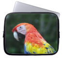 Pesquisar por papagaio laptop sleeves Aves