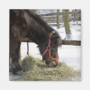 Pesquisar por cavalo imas Suecia