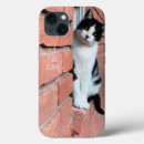 Pesquisar por salvamento animal iphone capas Engraçado