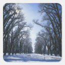 Pesquisar por park city adesivos Frio