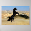 Pesquisar por cavalos selvagens pósteres artes pôsteres Eqüino