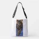 Pesquisar por all bolsas Comprar