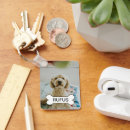 Pesquisar por osso cão chaveiros For pets