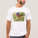Pesquisar por plumagem camisetas Natureza