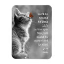 Pesquisar por olhos imas Gatinho bonito