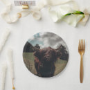 Pesquisar por escoceses pratos Vaca das terras altas