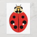 Pesquisar por os joaninhas cartoes postais Coccinellidae