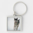 Pesquisar por lobo cinzento chaveiros Animais selvagens