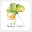 Pesquisar por herbal adesivos For her
