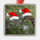 Pesquisar por do girafa de natal ornamentos Qualquer pessoa