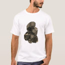 Pesquisar por amethyst camisetas Cristais
