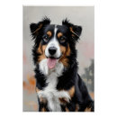 Pesquisar por border collie pôsteres Amante de cães