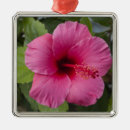 Pesquisar por hibisco ornamentos Havaí