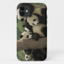 Pesquisar por pandas gigantes iphone capas Animal