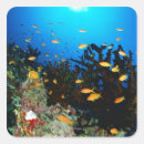 Pesquisar por peixes grandes adesivos Animais