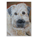 Pesquisar por wheaten Pintura