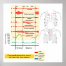 Pesquisar por batimento cardíaco pósteres pôsteres Gráfico