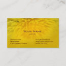 Pesquisar por dandelion cartao de visita Amarelo