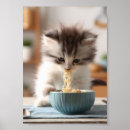 Pesquisar por noodles pósteres pôsteres Gato