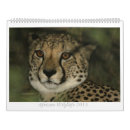 Pesquisar por calendário dos animais selvagens calendarios Africano