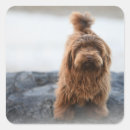 Pesquisar por caninos adesivos Animal