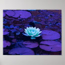 Pesquisar por flor azul turquesa pósteres pôsteres Qualquer pessoa