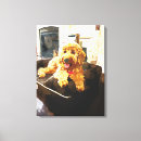 Pesquisar por cama impressão de canvas Cão