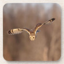 Pesquisar por orelha porta copos Natureza