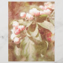 Pesquisar por flor cor de rosa da maçã Floral