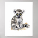 Pesquisar por lemur pósteres pôsteres For kids