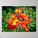 Pesquisar por mexicano pôsteres Floral