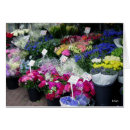 Pesquisar por venda de planta Flora