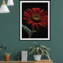 Pesquisar por margarida vermelha pósteres pôsteres Vermelho