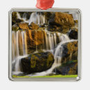 Pesquisar por polinésia ornamentos Ninguém