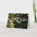 Pesquisar por vegetables cartoes Green