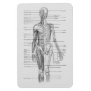 Pesquisar por remédios imas Doctor